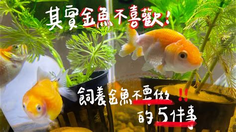 養魚隻數